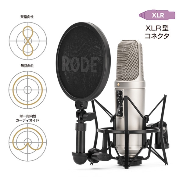 【20%/OUTLET】RODE(ロード) NT2-A / コンデンサーマイク / NT2A
