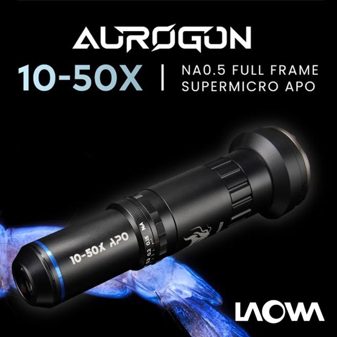 【LAOWA】マクロレンズセット『Aurogonシリーズ』